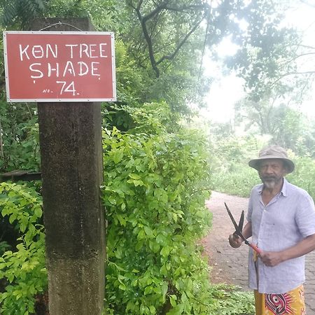 Apartmán Kon Tree Shade Dambulla Exteriér fotografie