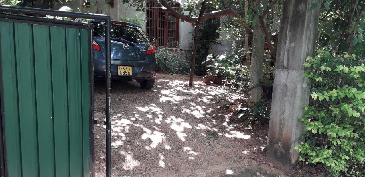 Apartmán Kon Tree Shade Dambulla Exteriér fotografie